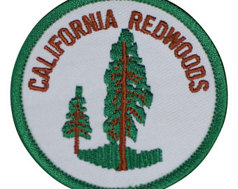 340x270 California Redwood Etsy