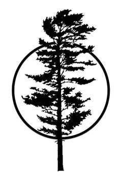 236x351 Free Pine Tree Clip Art Pictures