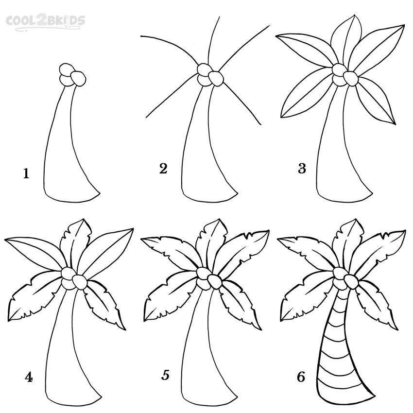 850x850 Huge Collection Of 'palm Tree Drawing Steps' Download More Than