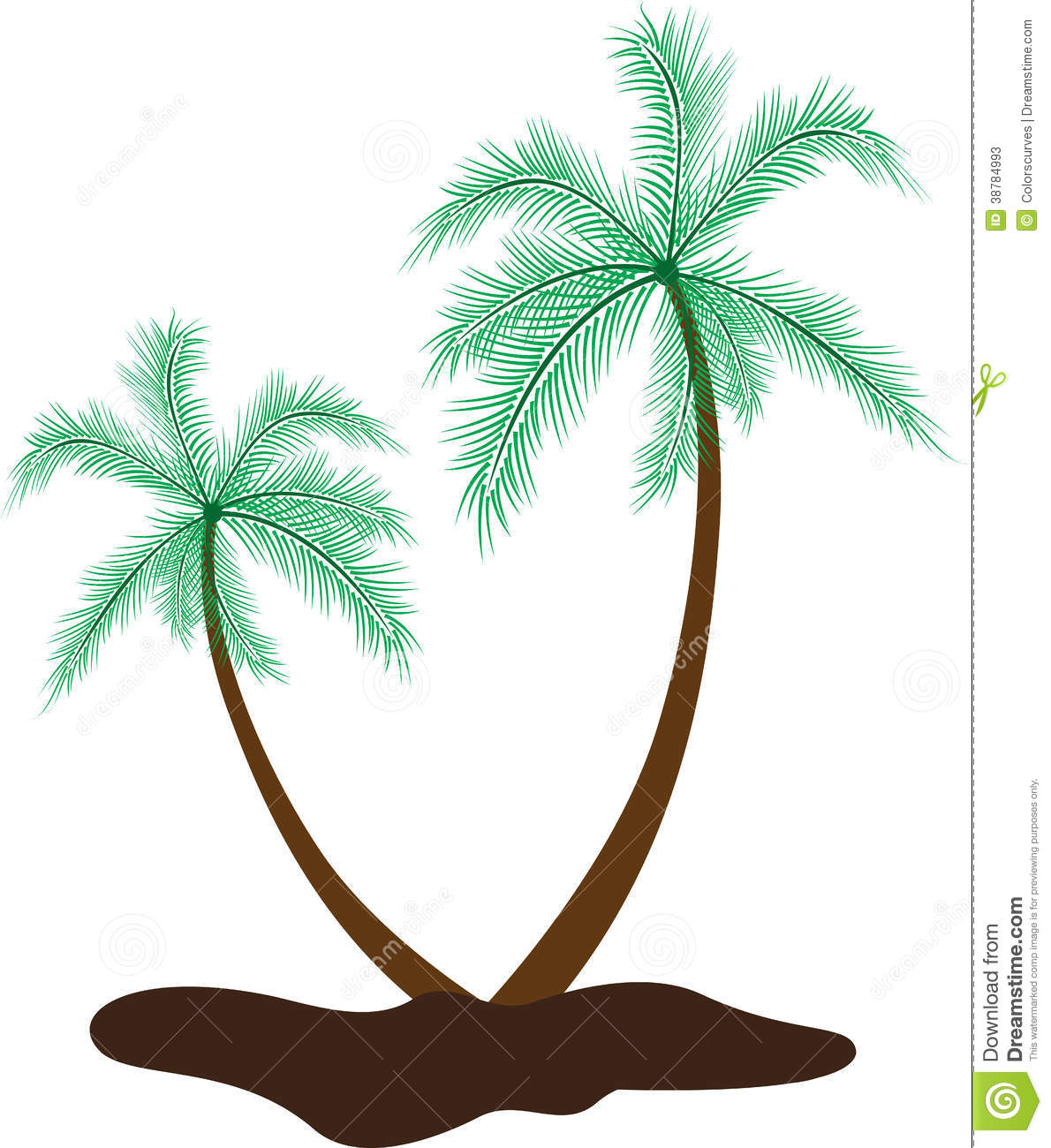 1190x1300 Palm Tree Drawings Great X Antique French Palm Tree Plate