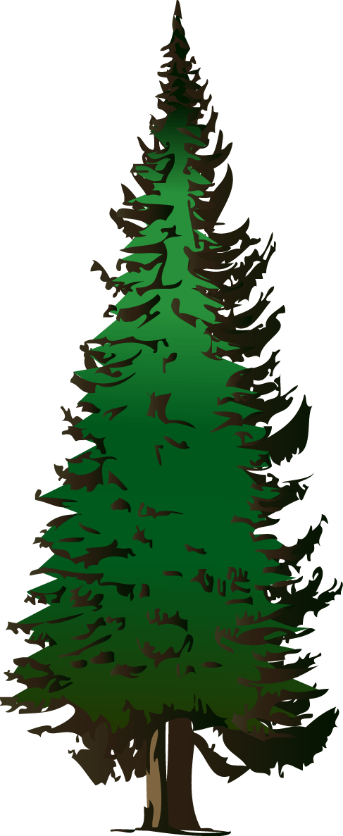 487x1187 Redwood Tree Cliparts