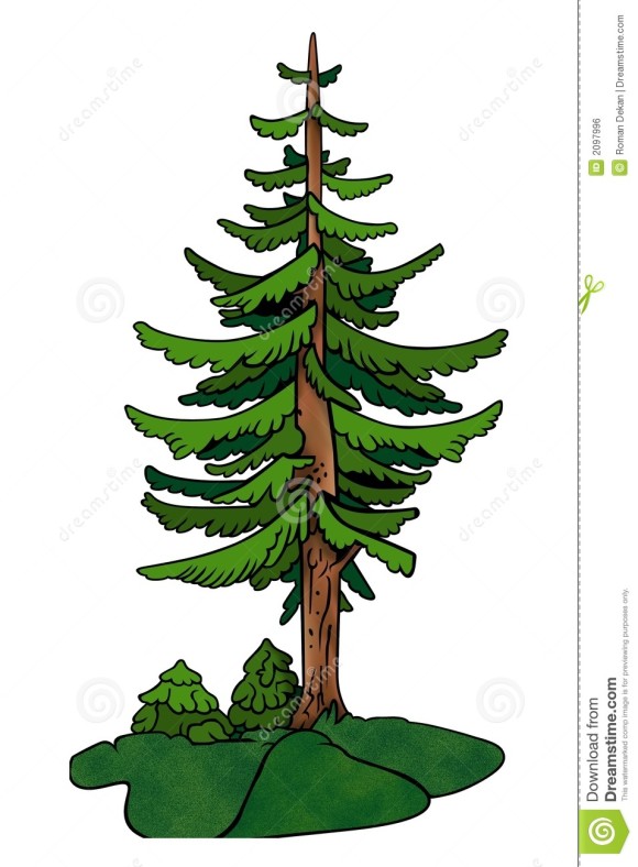 580x788 Redwood Tree Cliparts Clip Art