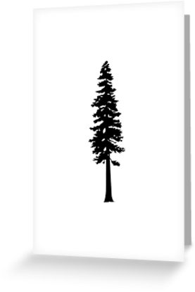 277x415 Redwood Tree Silhouette