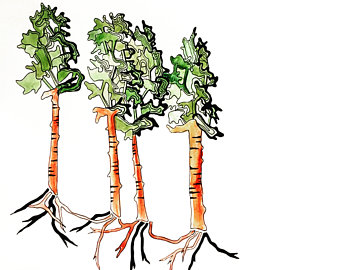 340x270 Sequoia Drawing Etsy