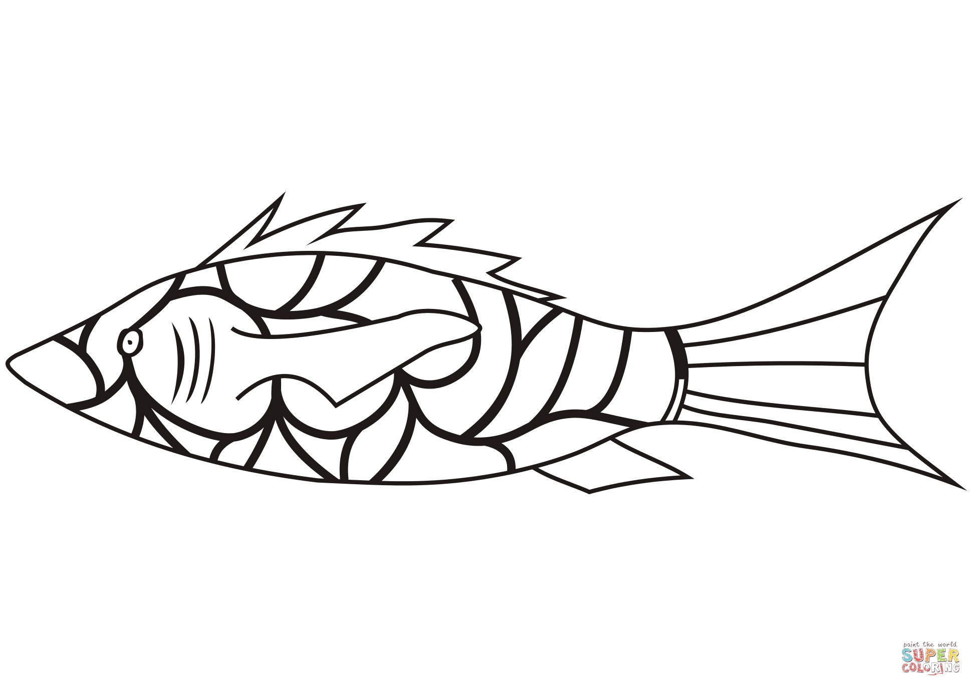 1938x1370 Coral Reef Fish Drawing