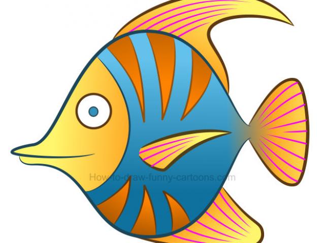 640x480 Drawn Coral Reef Fish Drawing