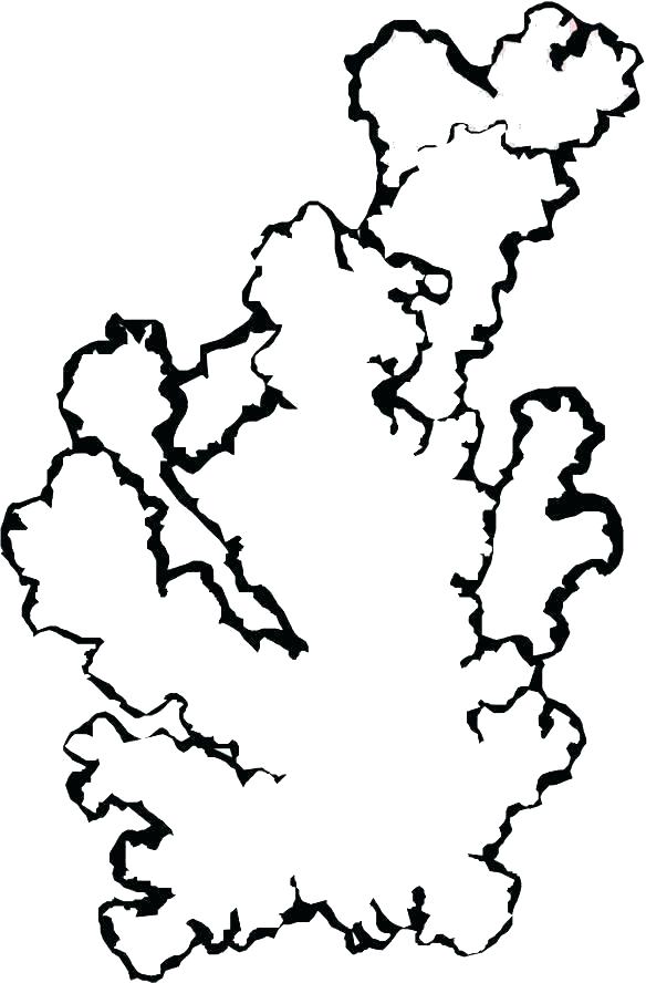 584x888 How To Draw Coral Reef Plants Coral Reef Coloring