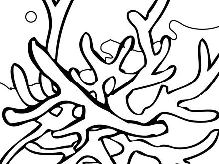 440x330 coral coloring pages, free coloring pages of coral plants