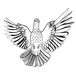 300x300 Inktober Week Bryony Moss