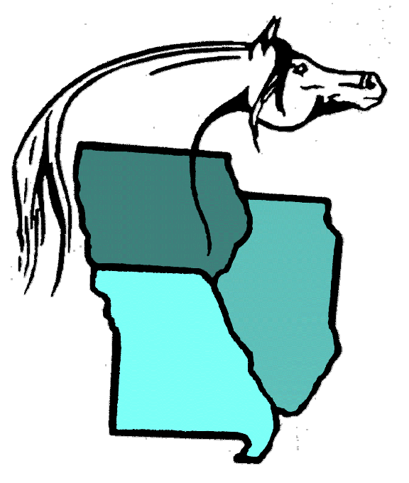 576x679 Region Seehorse Video