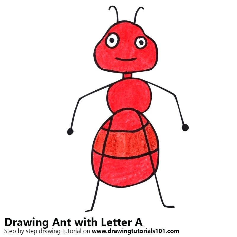 800x800 drawing an ant drawing ant man drawing antonym