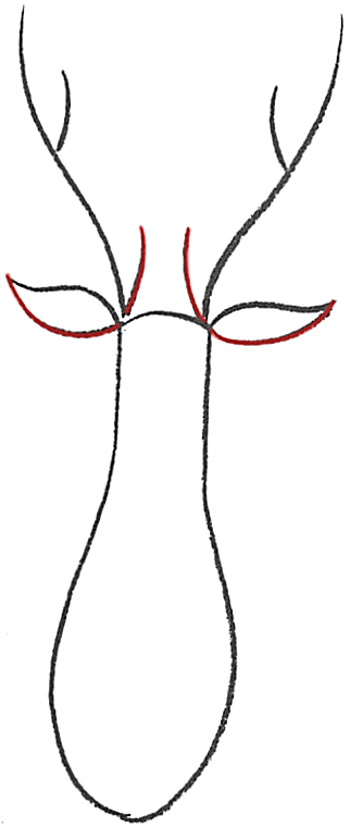 322x761 How To Draw Easy Reindeer Or Deer For Preschoolers And Kids