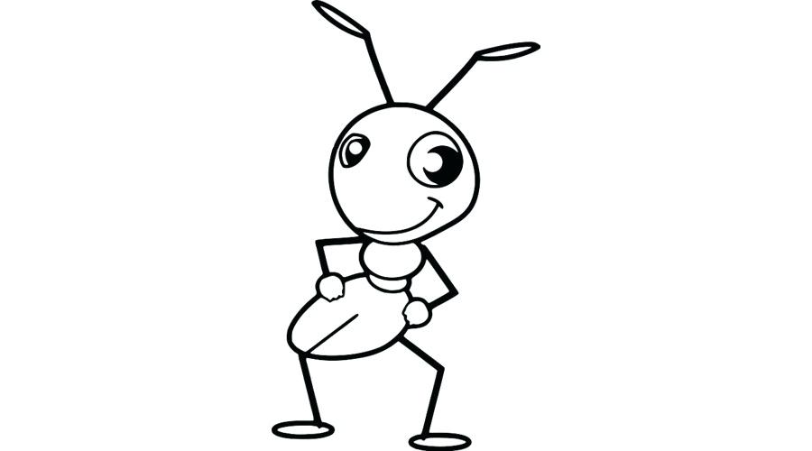 900x500 Drawing An Ant Pen Drawing