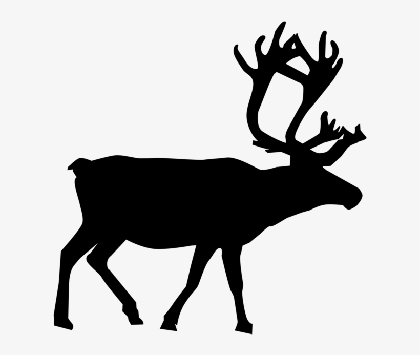 820x693 Reindeer Animal Silhouettes Drawing