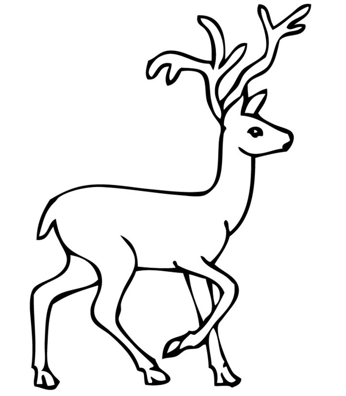 700x802 Reindeer Drawing Outline For Free Download