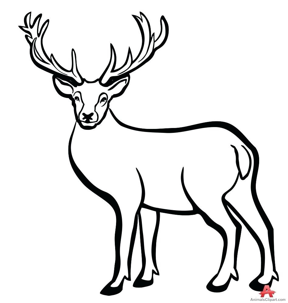 Reindeer Head Drawing | Free download on ClipArtMag