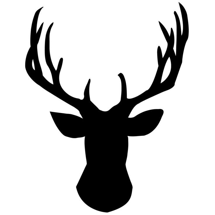 736x736 How To Draw A Deer Head Silhouette