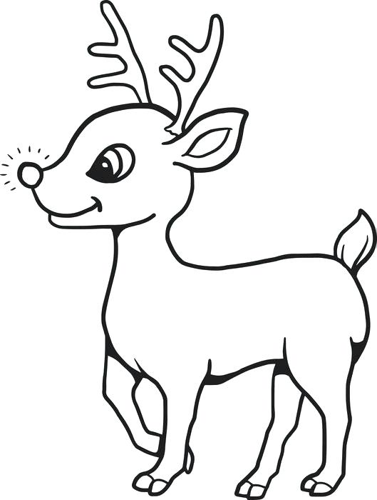 529x700 How To Draw An Easy Reindeer How To Draw A Deer Head Easy Draw