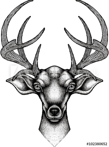 369x500 Reindeer Head Doodle Drawing