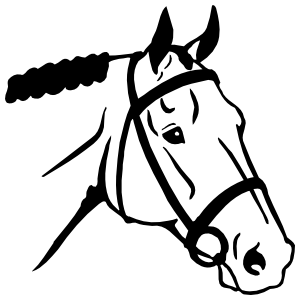 300x300 Quarter Horse Head Sticker