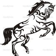 188x190 Reining Horse Images