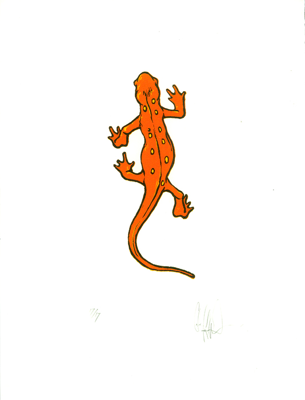 600x786 Red Eft In Relief On Risd Portfolios