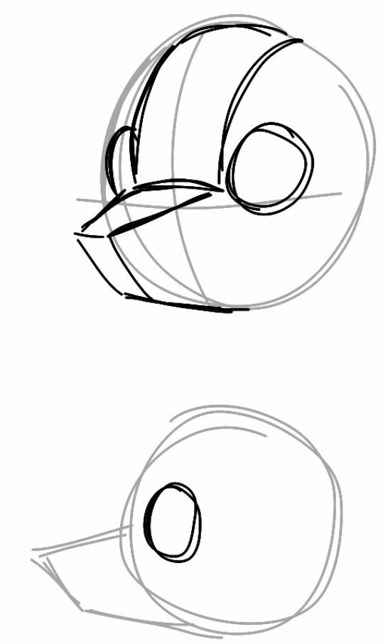 546x907 Muh On Twitter Just A Reminder That Snouts Aren