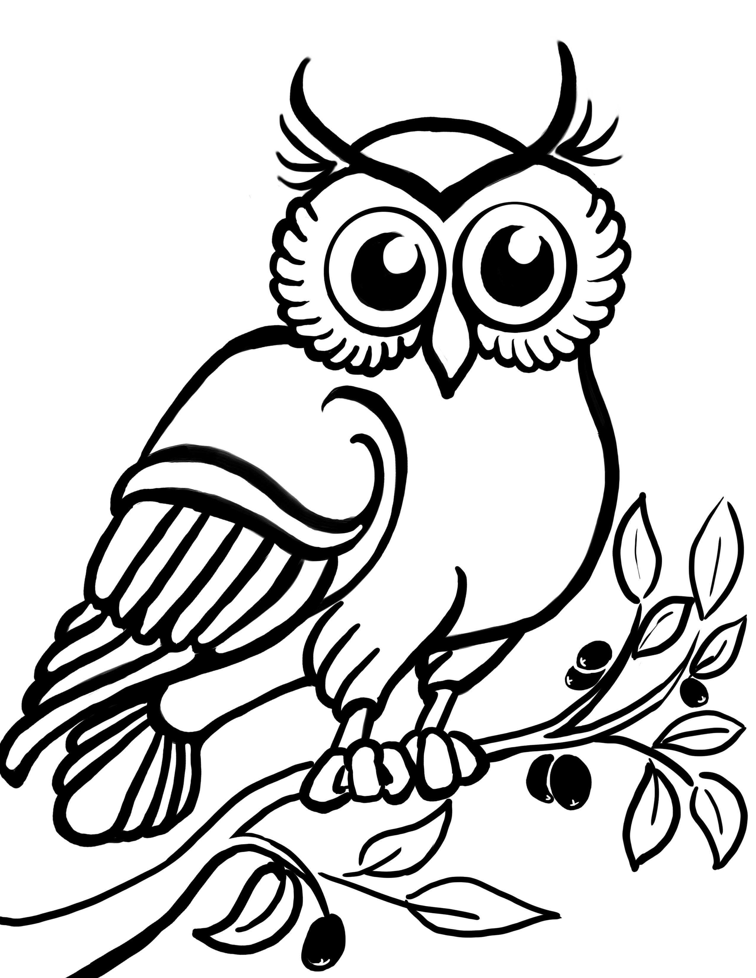 2550x3300 Drawing Demystified Teaching The Fundamentals Of Drawing