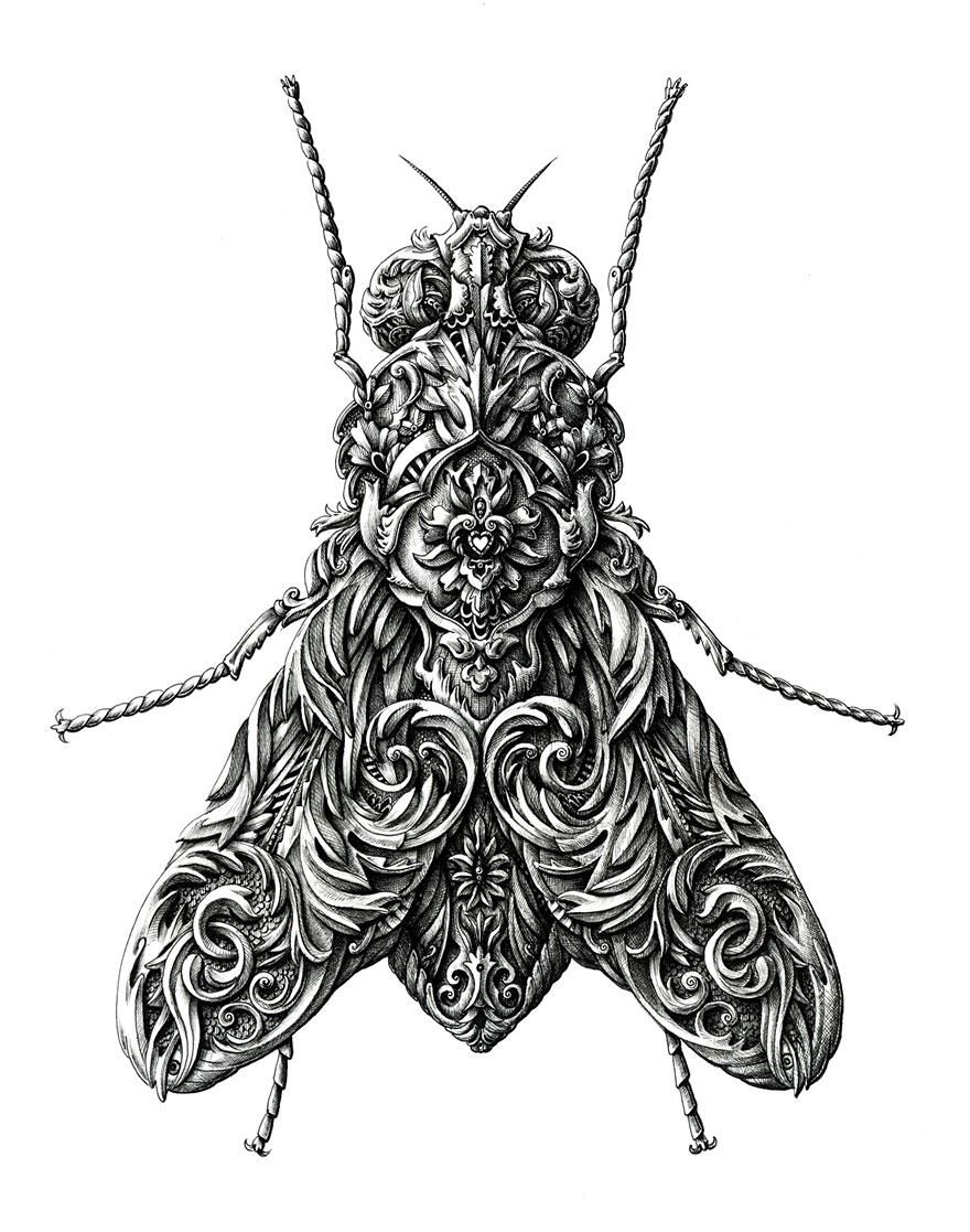 880x1117 Suprisingly Awesome Renaissance Style Insect Drawings Visual