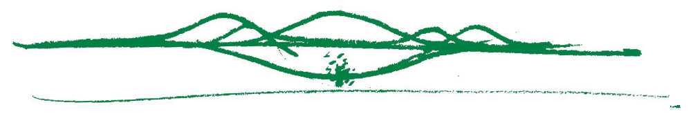 1002x178 Gallery Of California Academy Of Sciences Renzo Piano Building