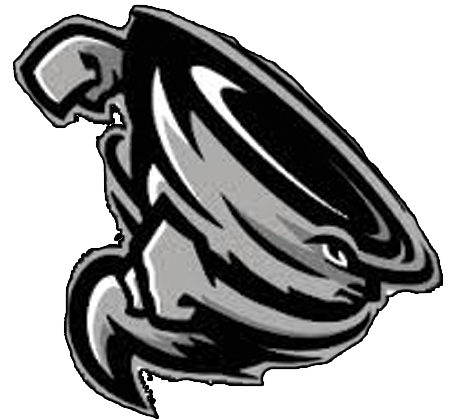 452x420 representative players coffs harbour volleyball association