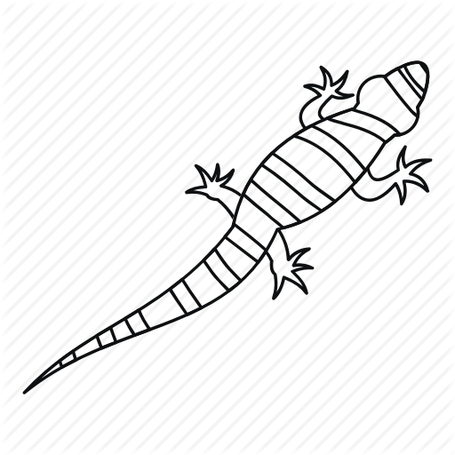 512x512 Collection Of Free Reptile Drawing Outline Download On Ui Ex