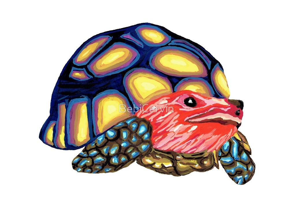 1000x741 Drawing, Graphic, Animal, Reptile, Turtle, Multicolored, Colorful