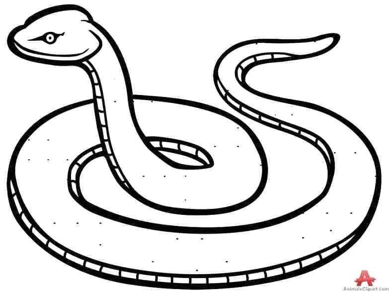 789x589 Easy Snake Drawing Snake Easy Rattlesnake Drawing Easy Zupa