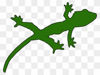 320x240 Yellow Spotted Lizard Drawing Clipart