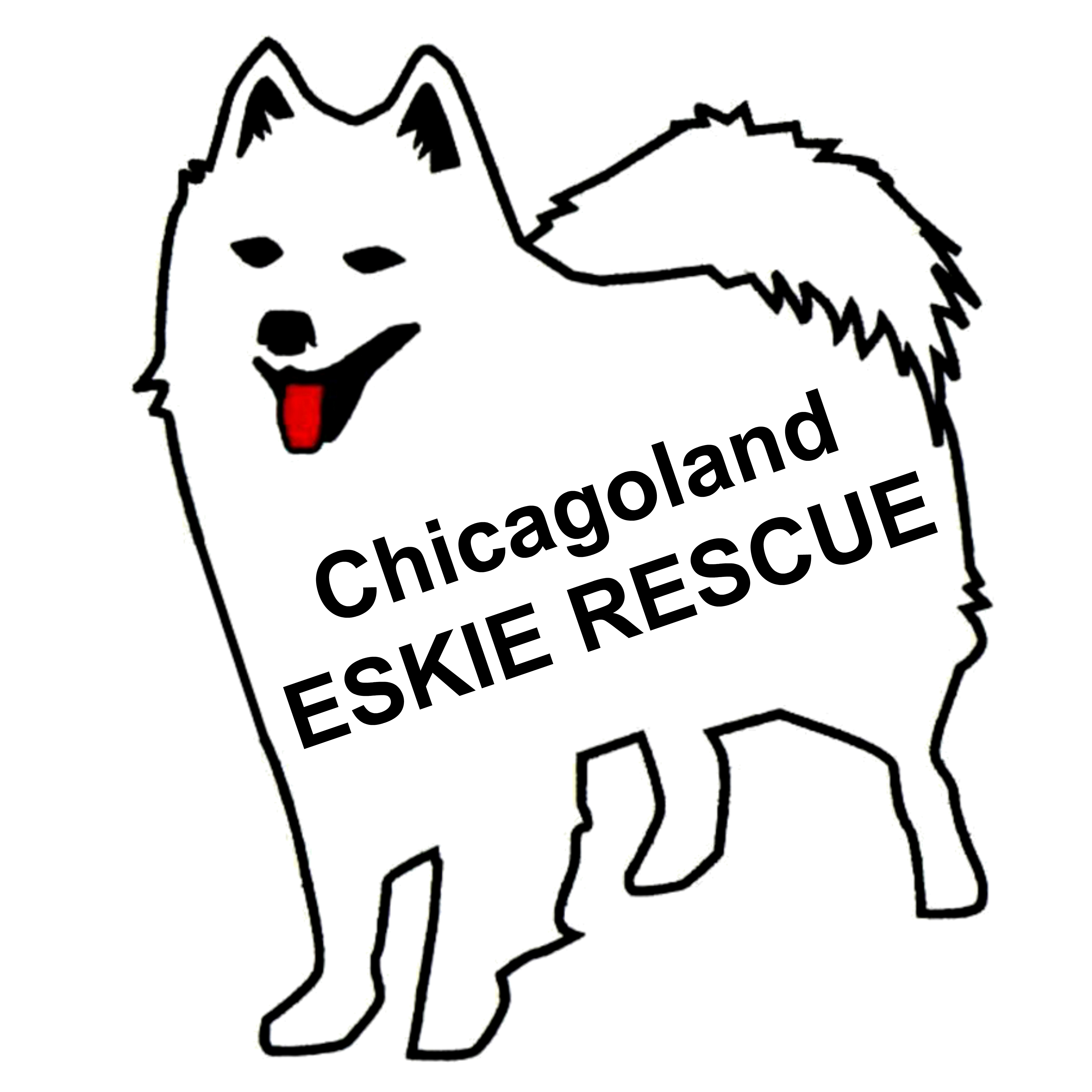 4000x4000 pets for adoption