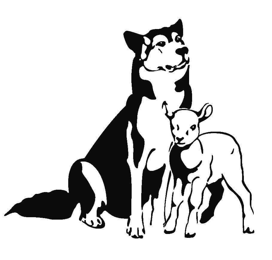 909x869 pets for adoption