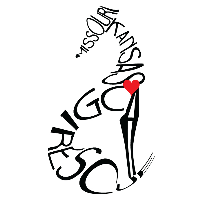 700x700 pets for adoption