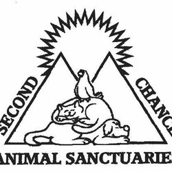 250x250 Second Chance Animal Rescue
