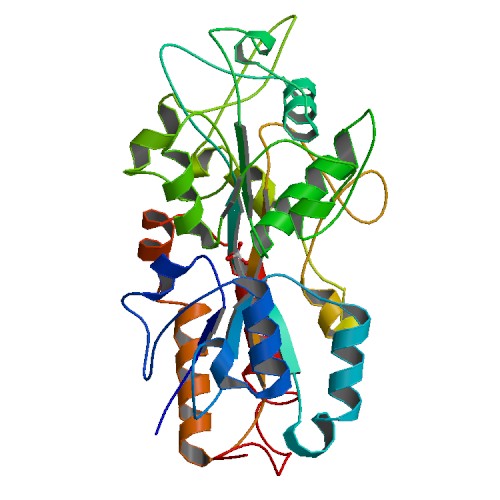 500x500 Rcsb Pdb