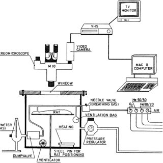 320x320 Experimental Setup With Pressure Chamber, Connections