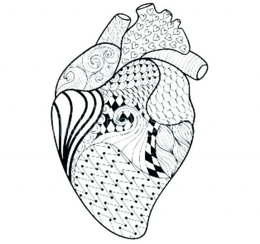 1024x959 Worksheet Design Circulatory System For Kids Worksheet