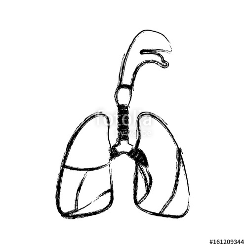 500x500 Blurred Realistic Silhouette Respiratory System With Windpipe