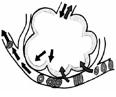 380x320 Respiratory System Worksheet