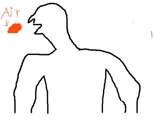 500x400 Benettonplay! Flipbook Deluxe!