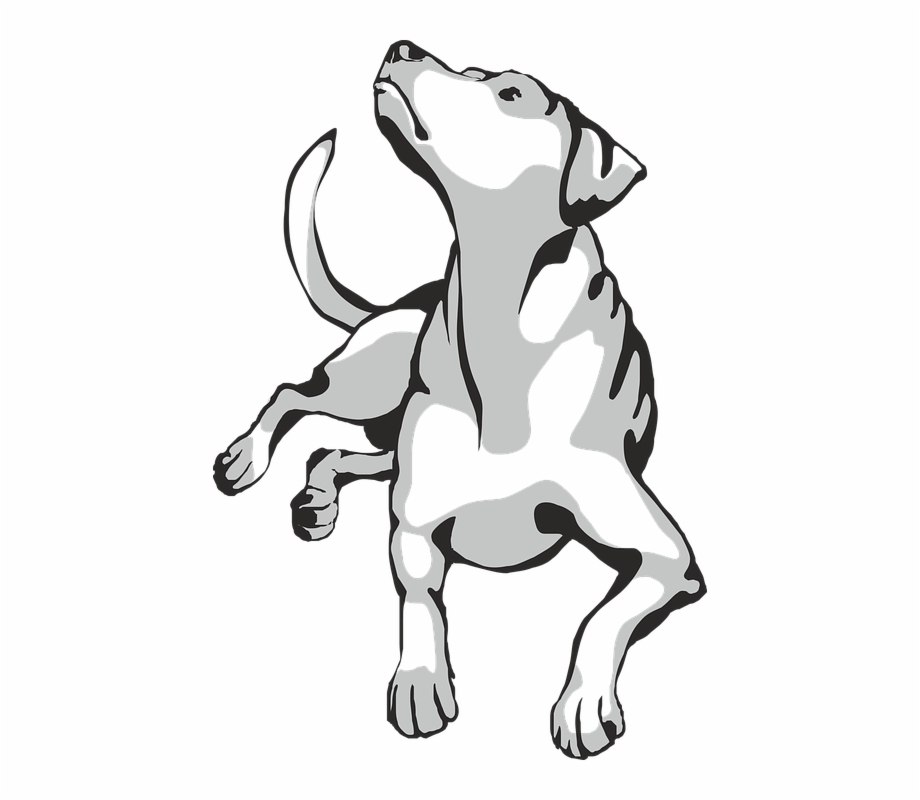 920x800 Dog Animal Doggie Rest Flair Feel