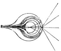 205x170 Men Of Vision