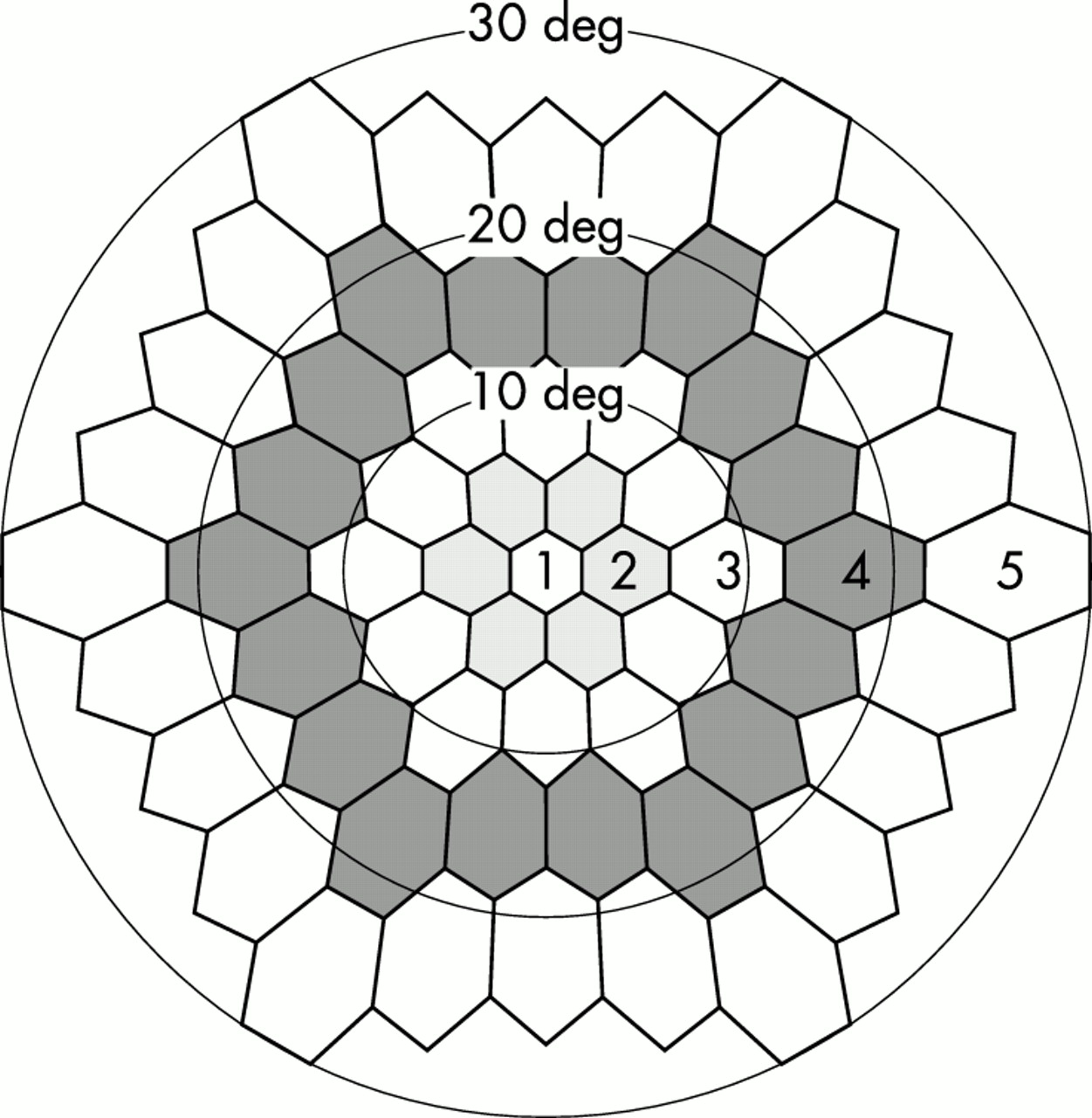 1251x1280 Morphological And Functional Analyses Of Adult Onset Vitelliform