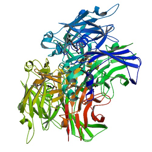 500x500 Rcsb Pdb