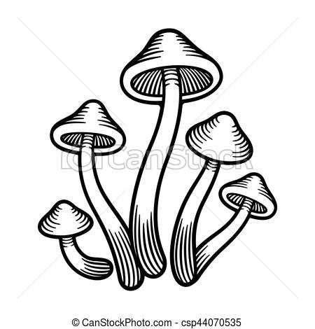 450x470 Mushrooms Monochrome Illustration Magic Psilocybe Mushrooms Black